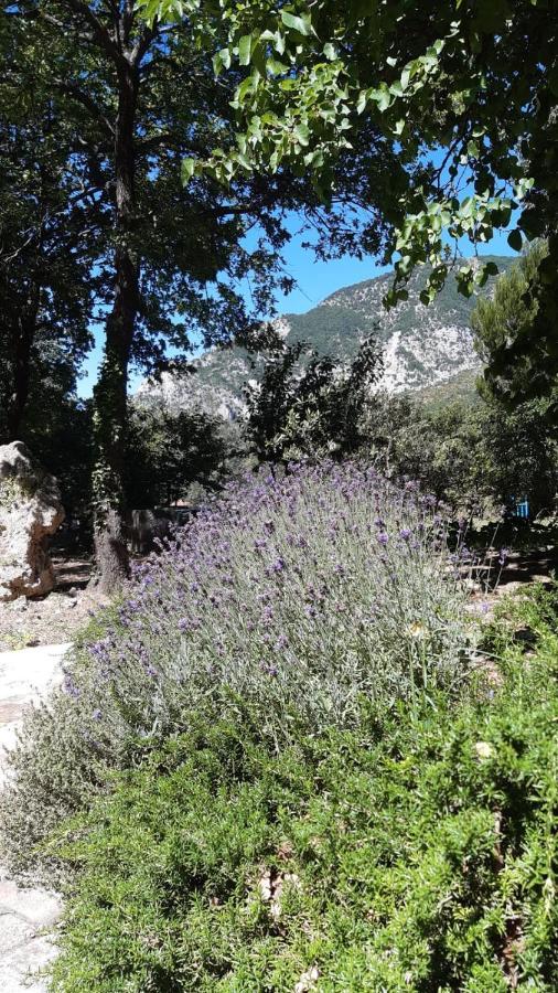 Azienda Agrituristica La Torretta Tocco da Casauria Dış mekan fotoğraf