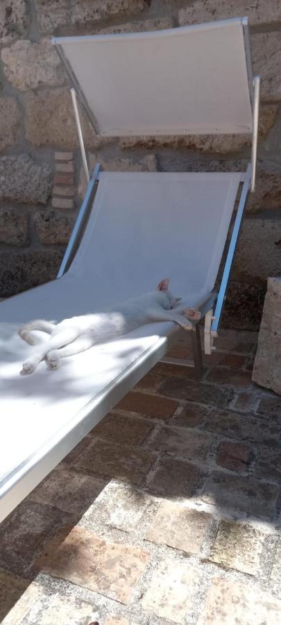 Azienda Agrituristica La Torretta Tocco da Casauria Dış mekan fotoğraf