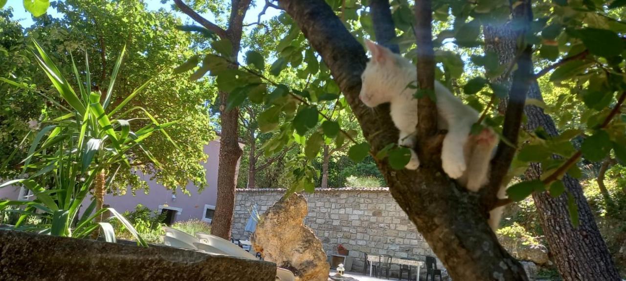 Azienda Agrituristica La Torretta Tocco da Casauria Dış mekan fotoğraf