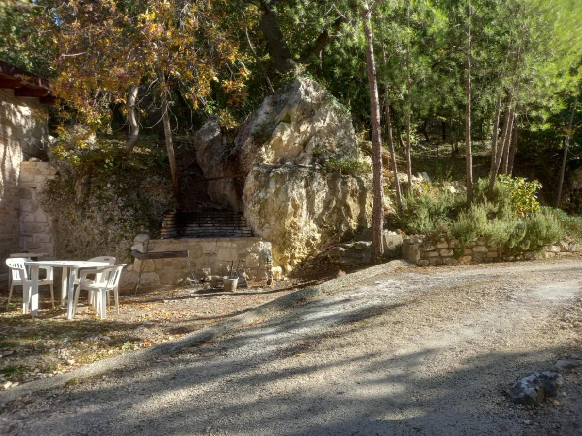 Azienda Agrituristica La Torretta Tocco da Casauria Dış mekan fotoğraf