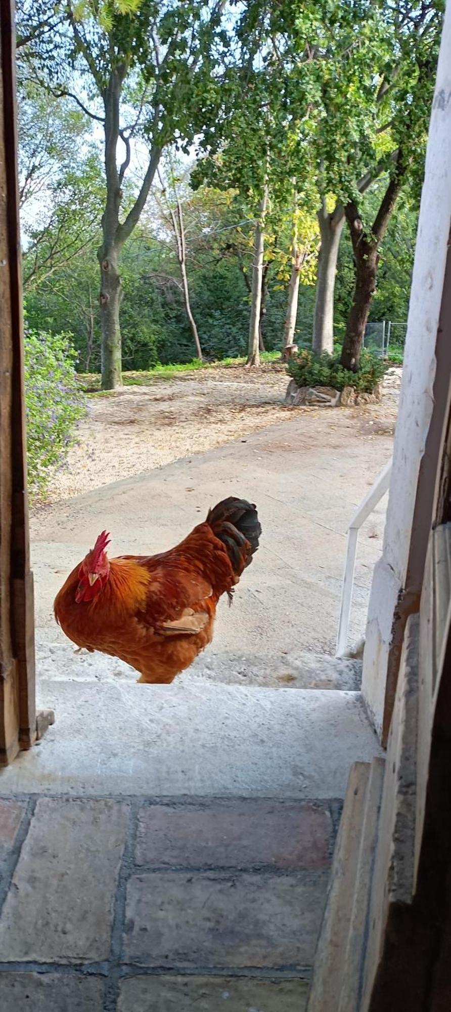Azienda Agrituristica La Torretta Tocco da Casauria Dış mekan fotoğraf